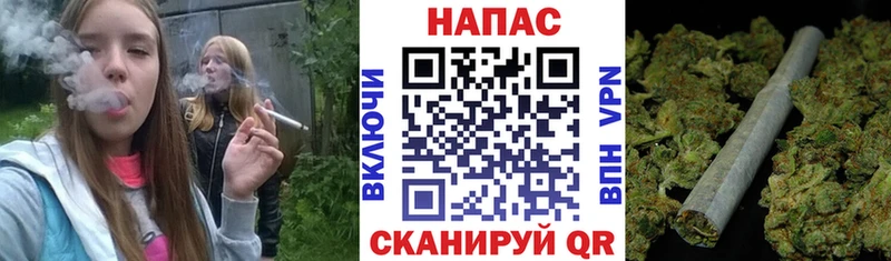 где найти   Иркутск  Бошки марихуана OG Kush 